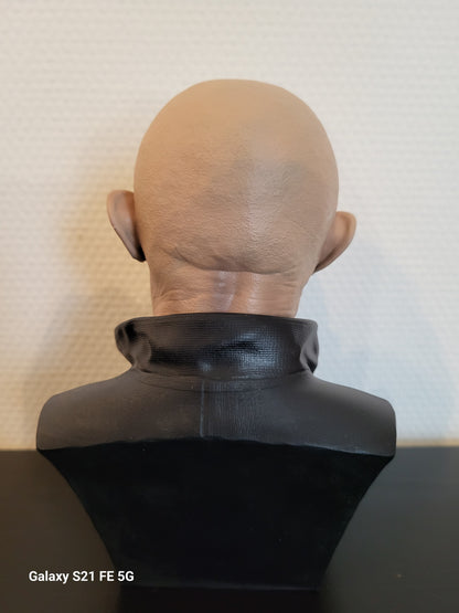 Buste mike ehrmantraut