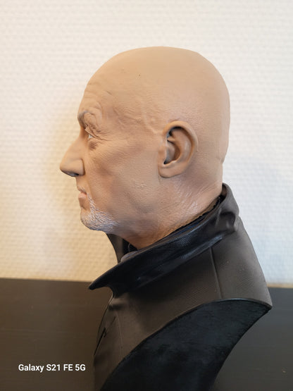 Buste mike ehrmantraut