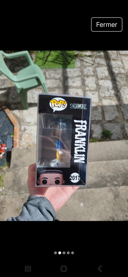 Pop franklin saint snowfall