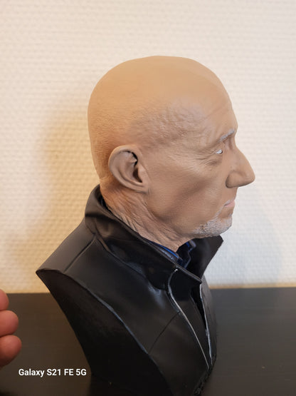 Buste mike ehrmantraut